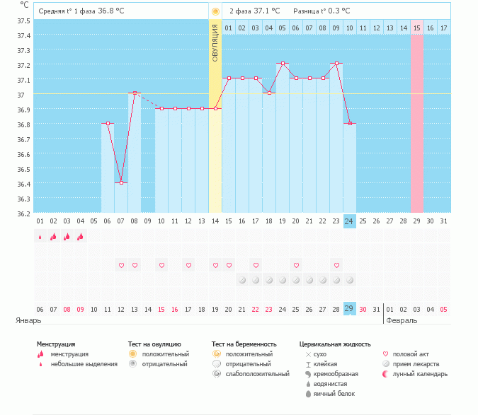 Овуляция 2 раза в месяц. График выделений цикл. Может быть 2 овуляции в одном цикле. График выделений в беременный цикл. Ановуляторный цикл (ановуляция).