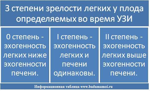 Степень легких плода