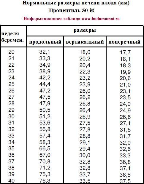 Какие размеры печени норма. Нормы размера печени у плода по неделям. УЗИ печени нормальные показатели у взрослых таблица. Нормальные Размеры печени при УЗИ У ребенка. Нормы размеров печени при УЗИ У детей.